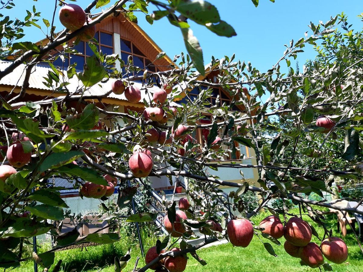 Heavenly Daze Cottage Manali (Himachal Pradesh) Exterior photo